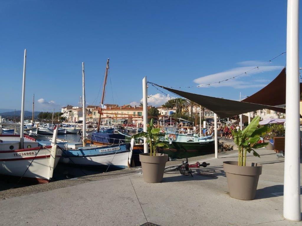 T2 Six Fours Cap Negre,1 Mn A Pied De La Apartment *